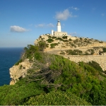 Mallorcan - learn easily, quickly, and with fun Mallorcan - learn easily, quickly, and with fun